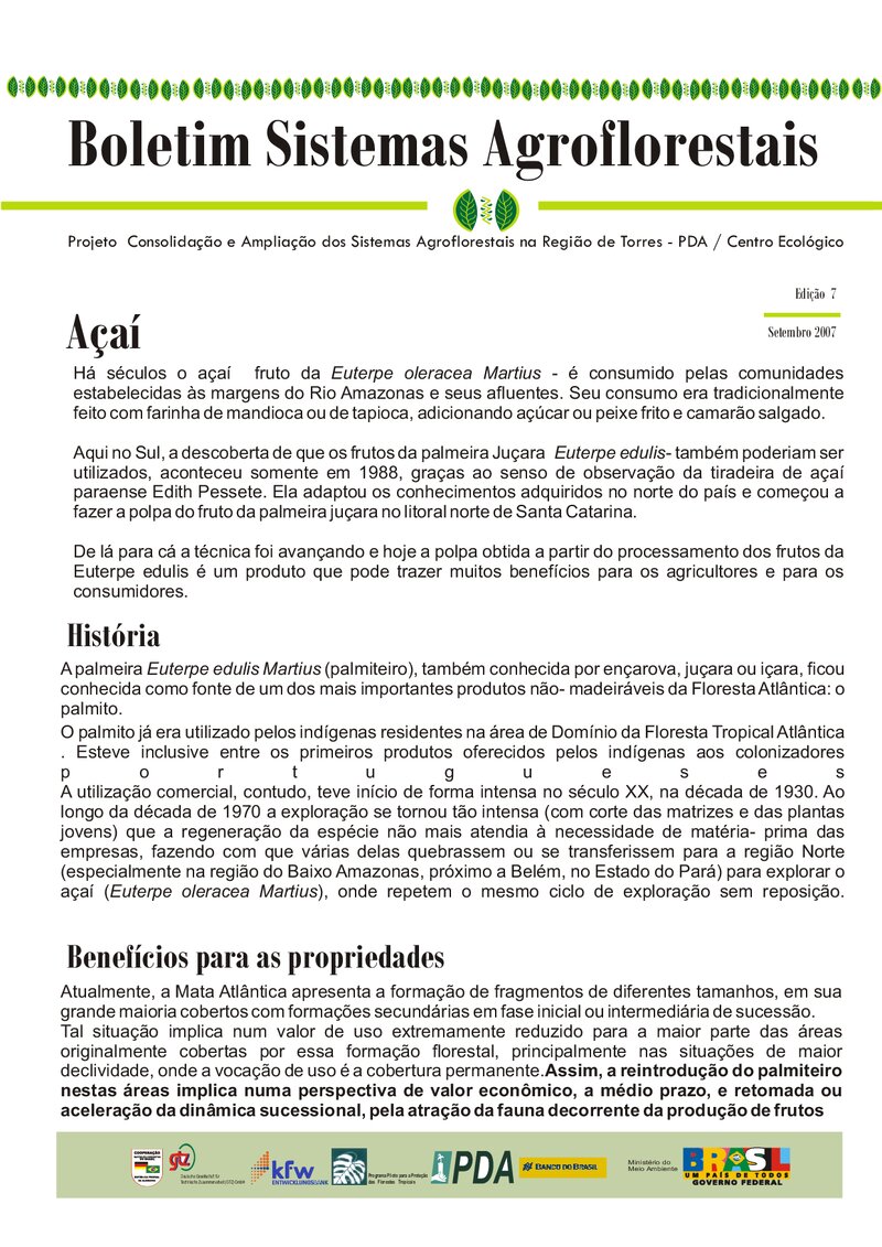 Açaí parte 1 – benefícios para as propriedades e cultivo