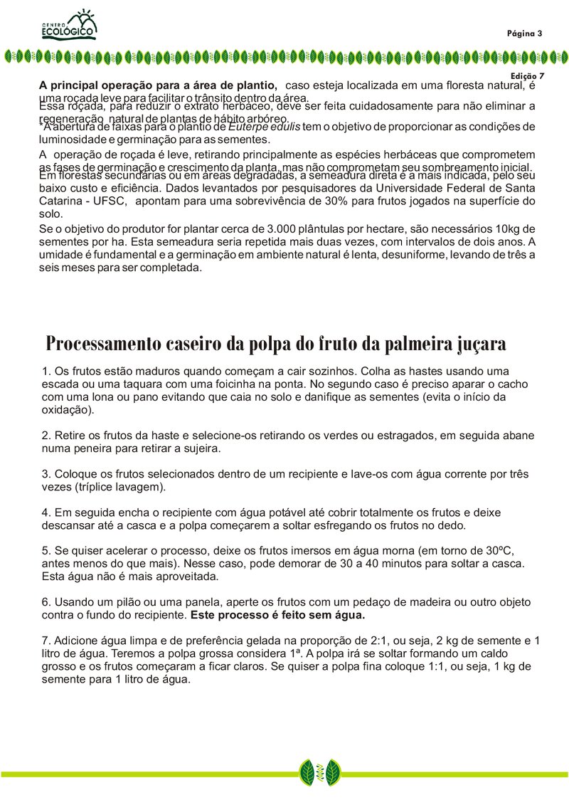 Açaí – parte 2 – processamento  caseiro da polpa