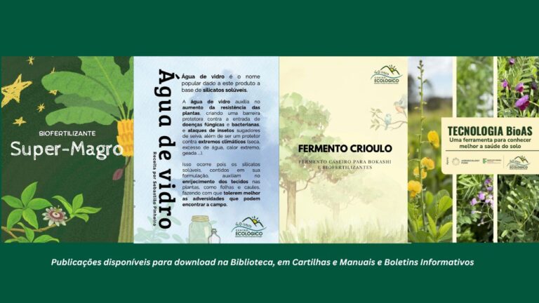 Saúde do solo e cultivos: como preparar super-magro, água de vidro e fermento crioulo