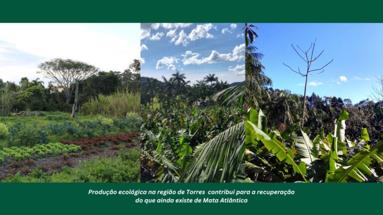 Curso realizado há 35 anos marca início da produção ecológica na região de Torres