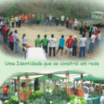 Clique para download